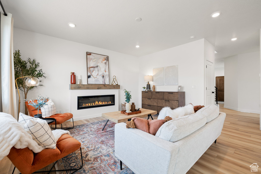 Living room featuring light hardwood / wood-style flooring