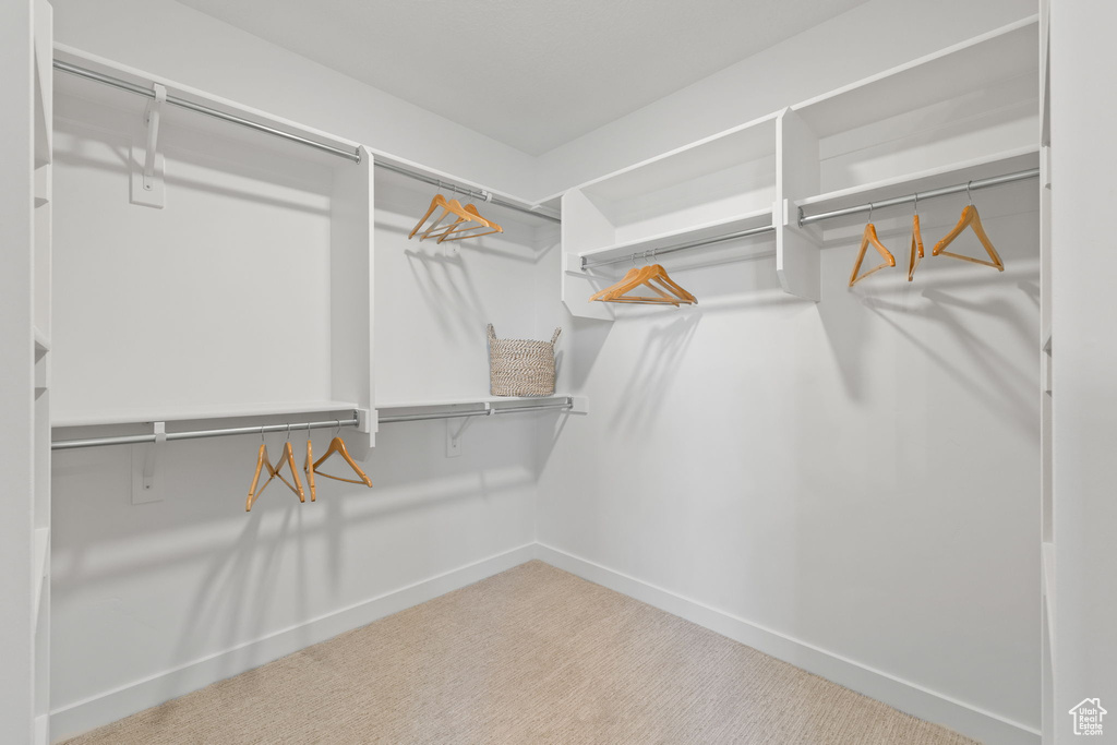 Spacious closet with carpet flooring