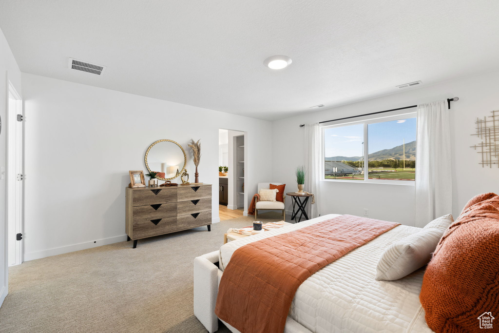 Bedroom with light carpet