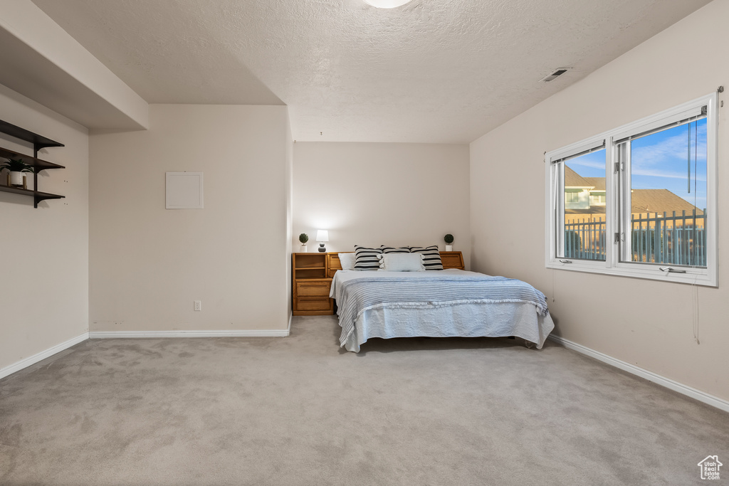 Carpeted bedroom featuring a textured ceiling