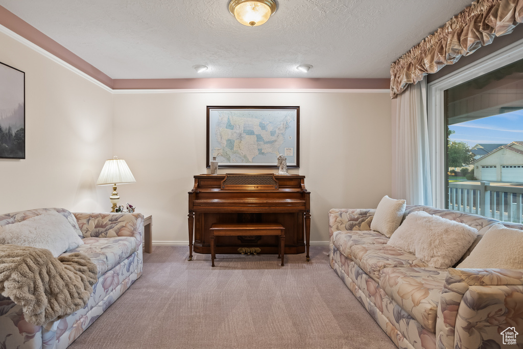 Carpeted living room with a textured ceiling