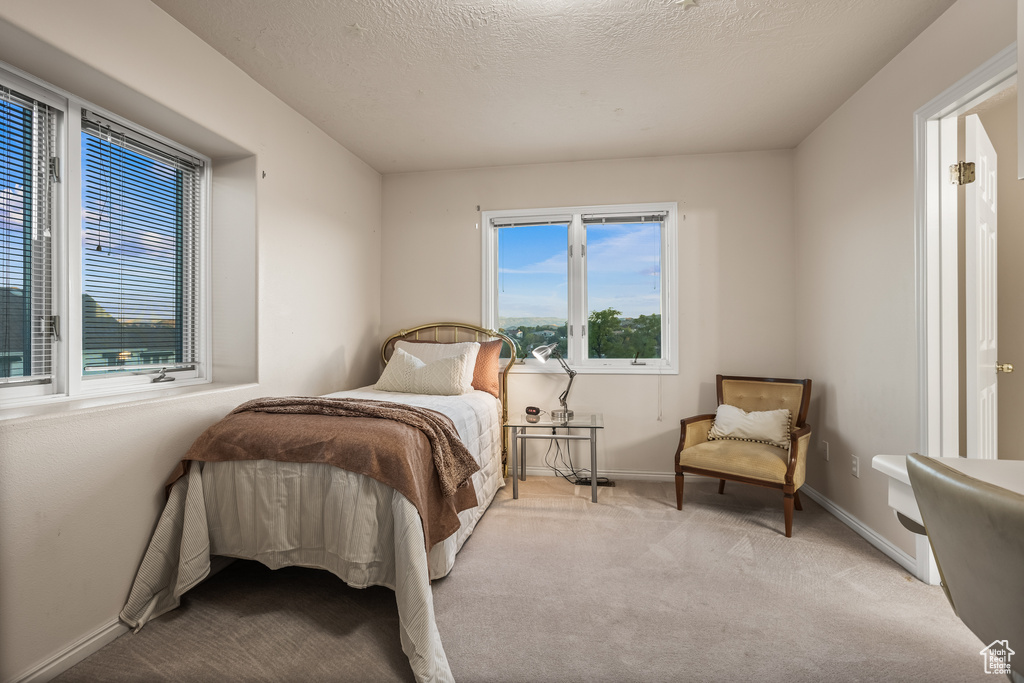 Carpeted bedroom with a textured ceiling