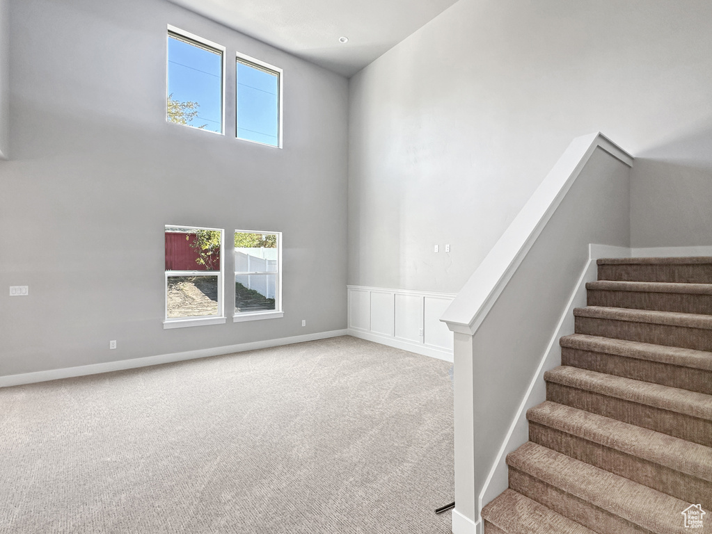 Stairs featuring a towering ceiling and carpet