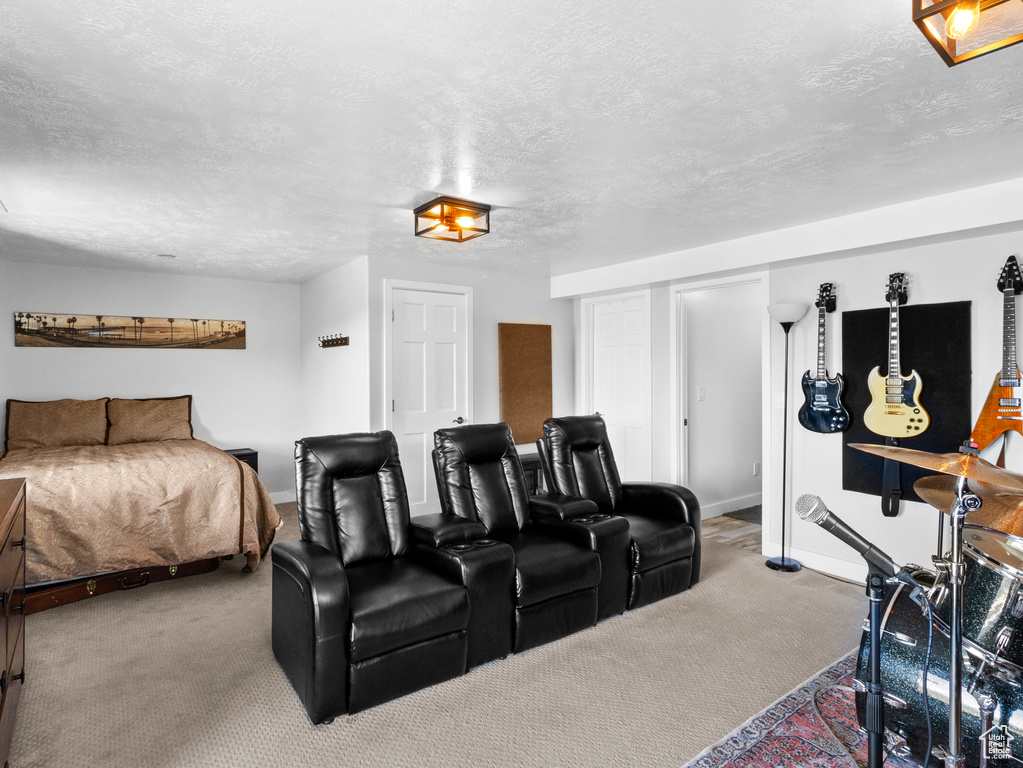 Cinema room featuring a textured ceiling and carpet