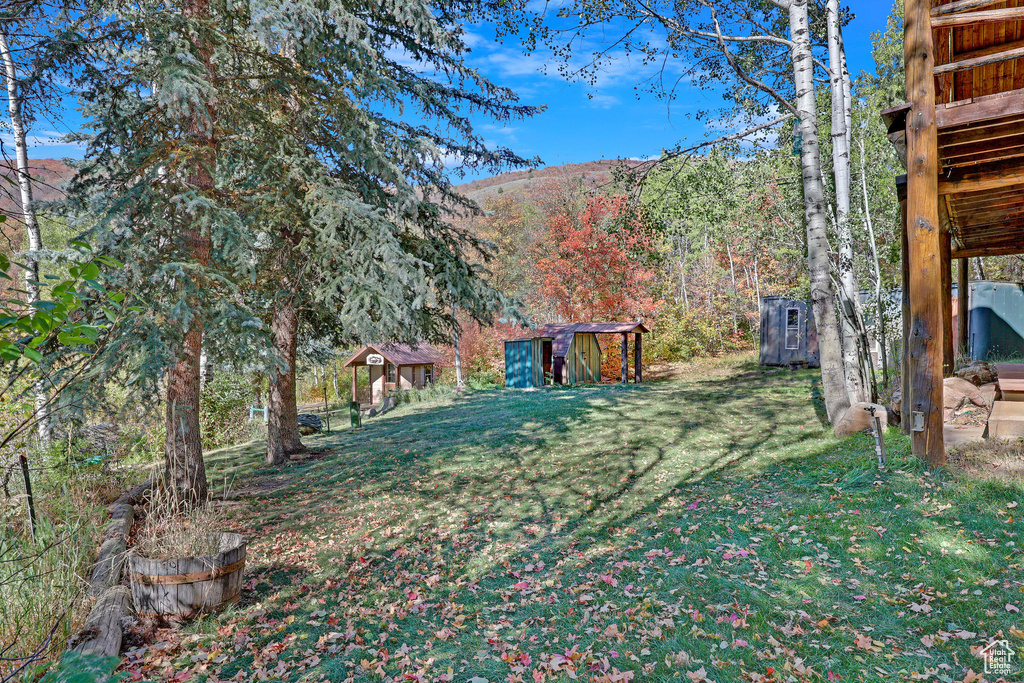 View of yard featuring a mountain view and a shed