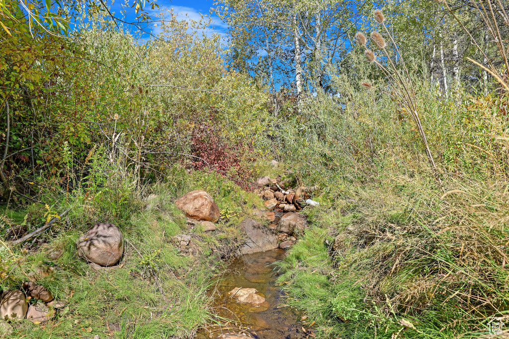 View of nature