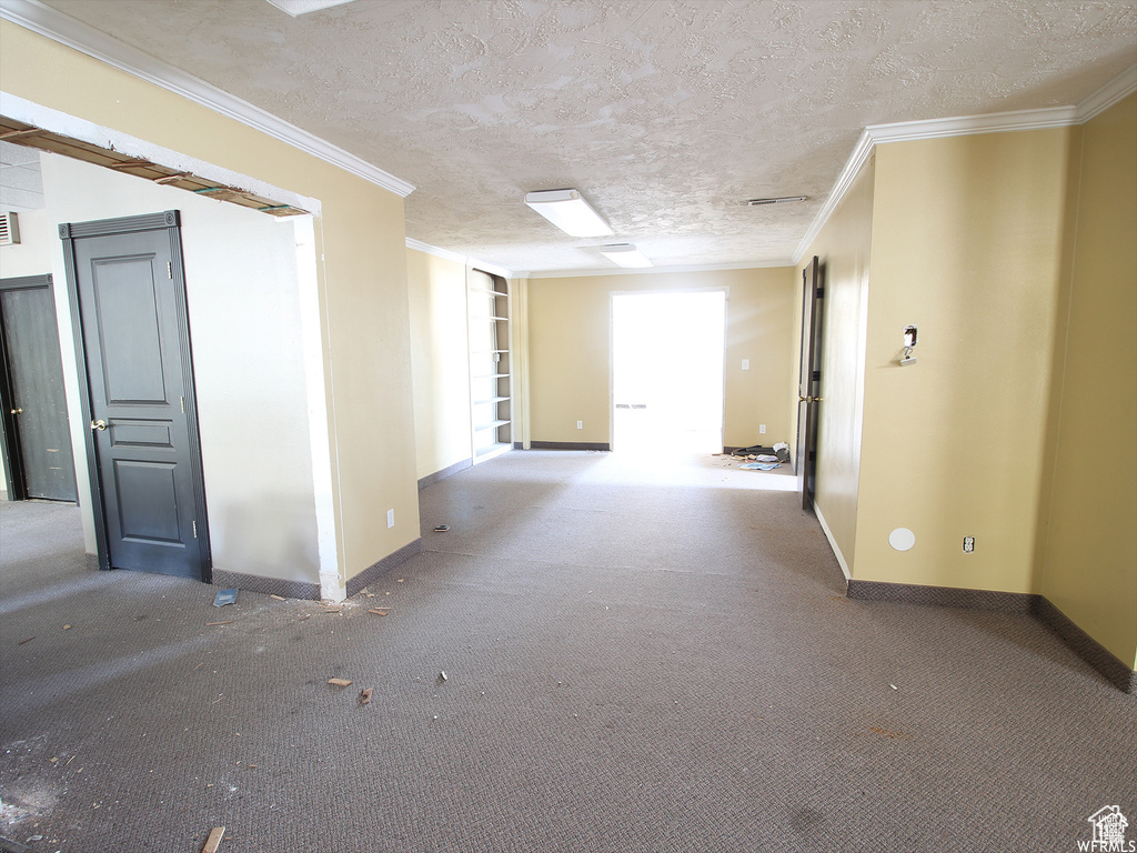 Spare room featuring ornamental molding, a textured ceiling, and carpet flooring