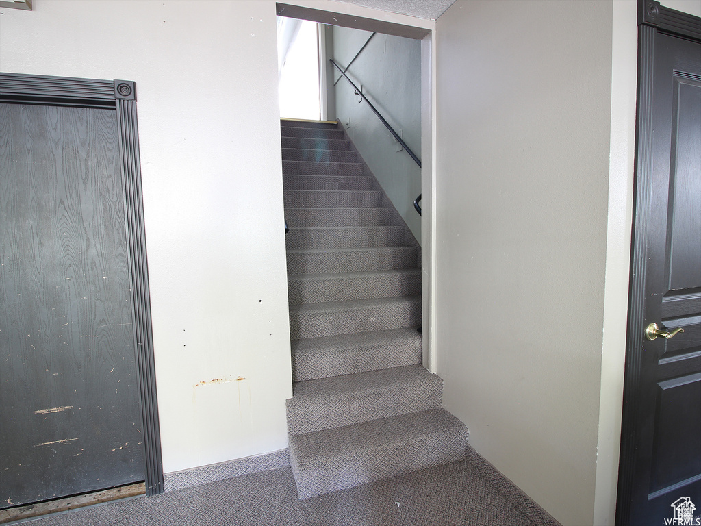 Stairs with carpet flooring