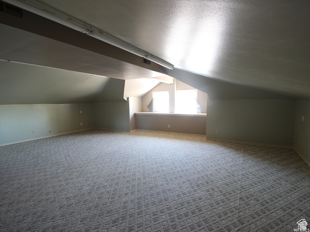 Additional living space with a textured ceiling, lofted ceiling, and carpet