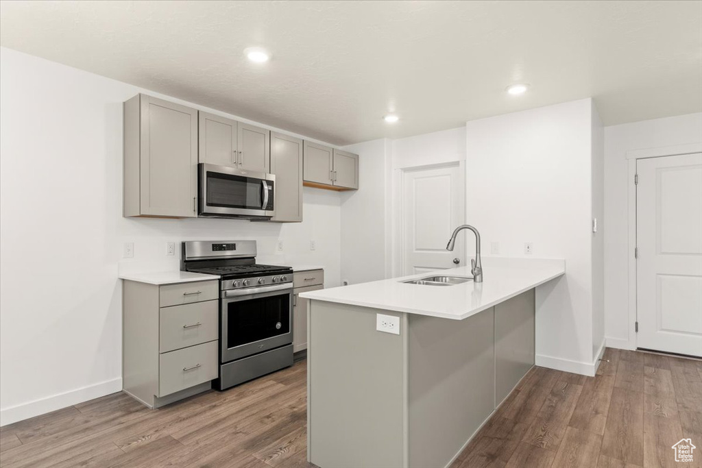 Kitchen with kitchen peninsula, gray cabinets, stainless steel appliances, light wood-type flooring, and sink