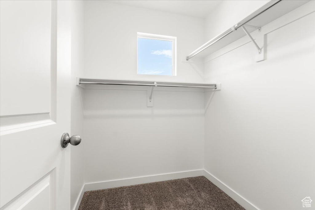 Walk in closet with dark colored carpet