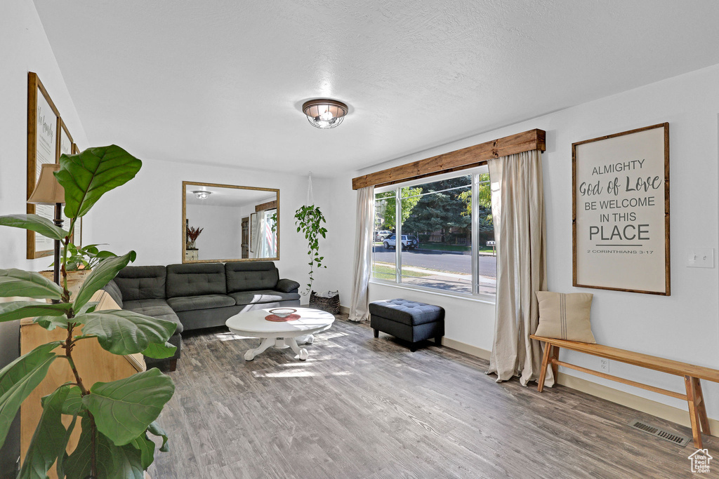 Living room with a textured ceiling and wood-type flooring