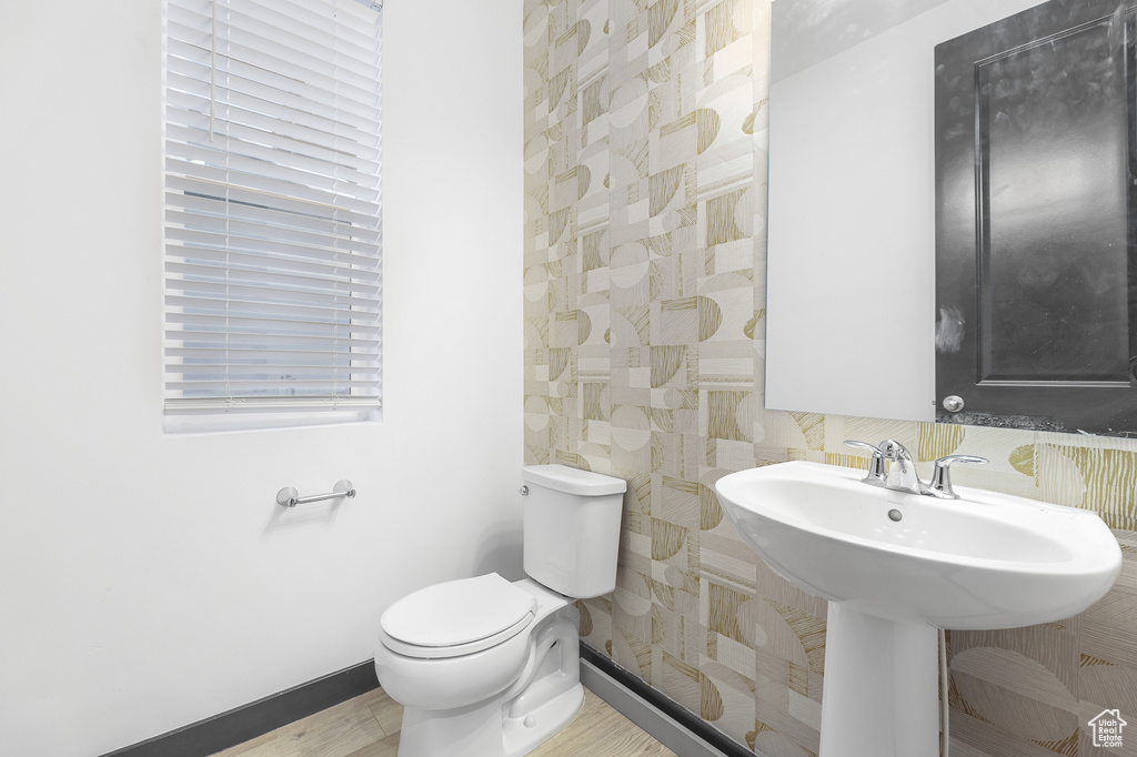 Bathroom featuring sink, toilet, and hardwood / wood-style flooring