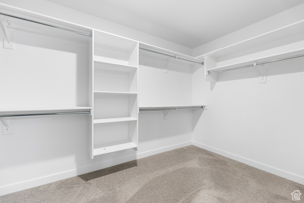 Walk in closet with carpet flooring