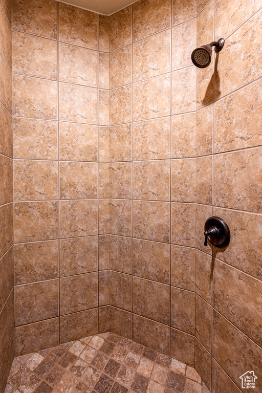 Bathroom with a tile shower