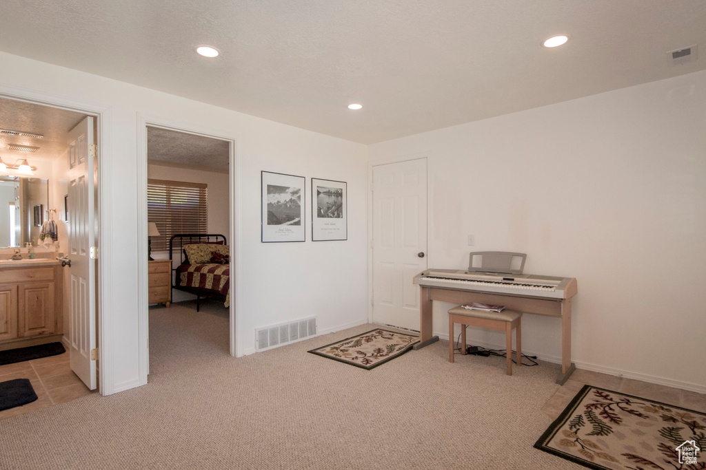 Miscellaneous room featuring light carpet and sink