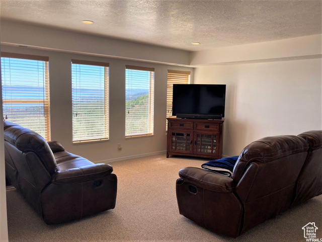 Living room with carpet floors and a textured ceiling