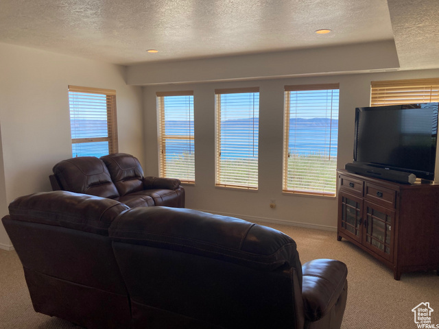 Carpeted living room with a textured ceiling and a wealth of natural light