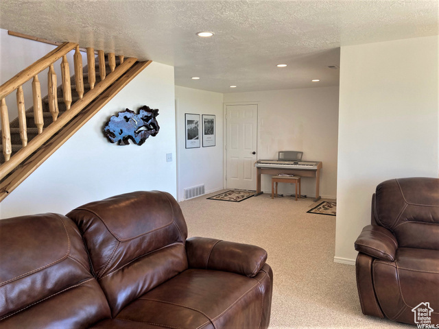 Carpeted living room with a textured ceiling