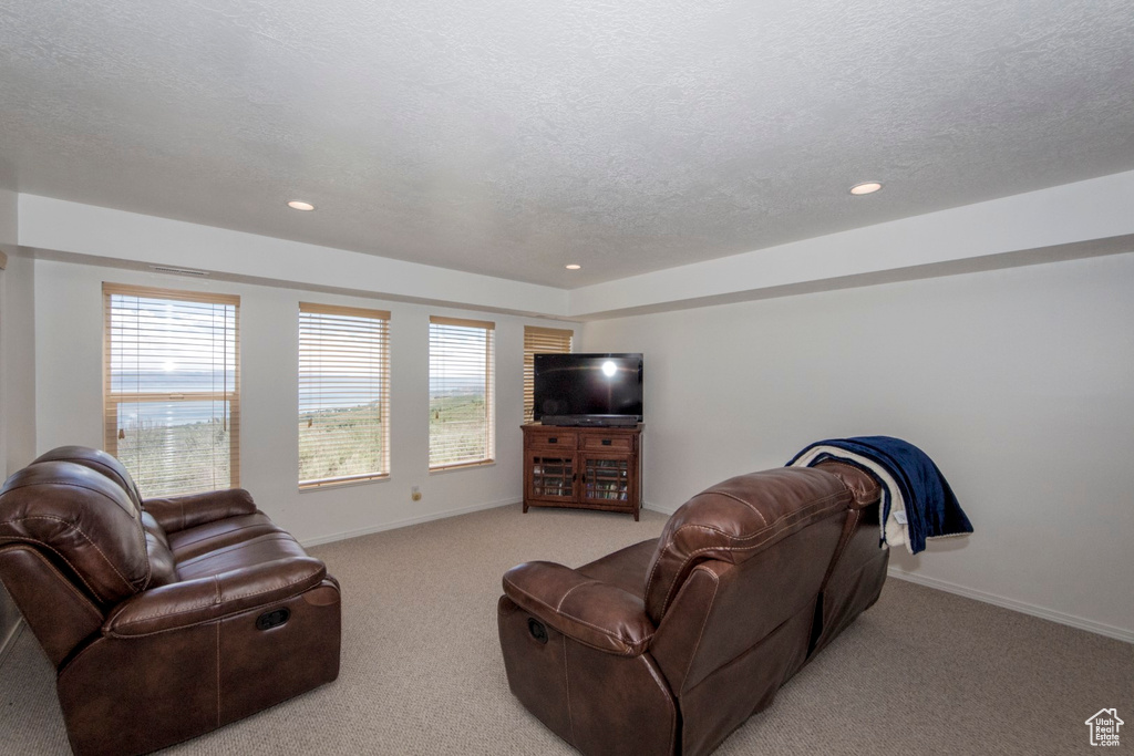 Carpeted living room with a textured ceiling and a wealth of natural light