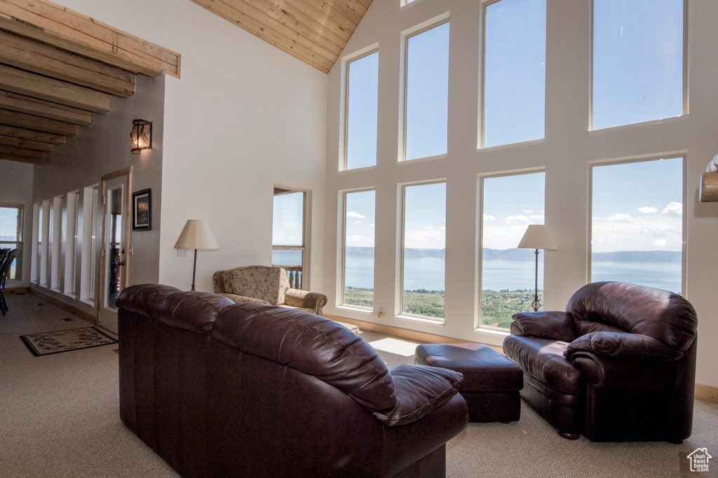 Living room with a high ceiling and light colored carpet