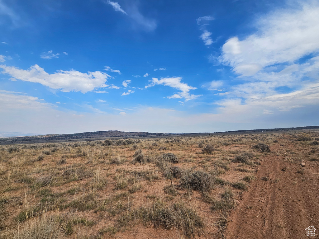 View of local wilderness featuring a rural view