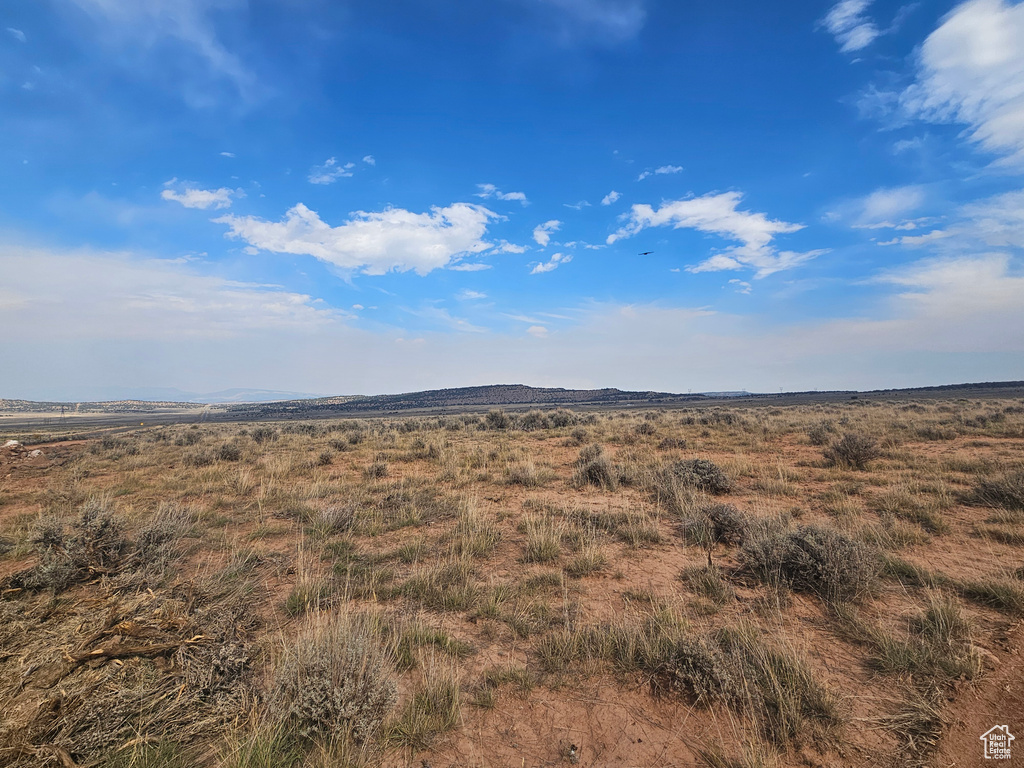 View of local wilderness featuring a rural view