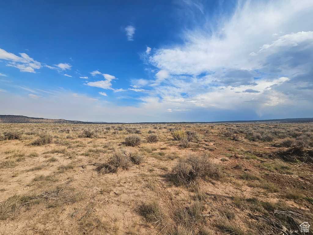 View of local wilderness with a rural view