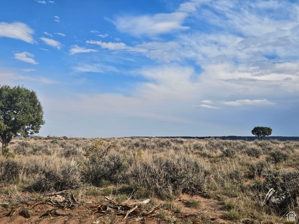 View of local wilderness