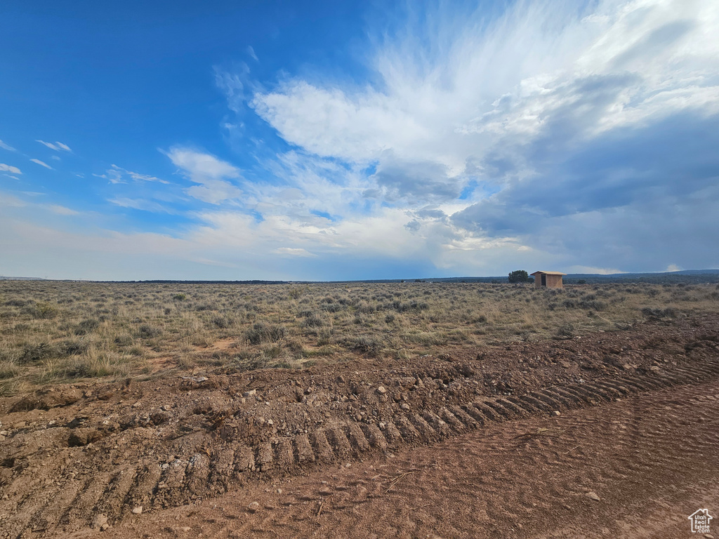 View of local wilderness with a rural view