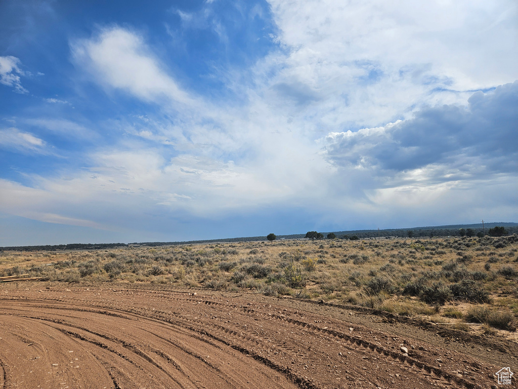 View of local wilderness with a rural view