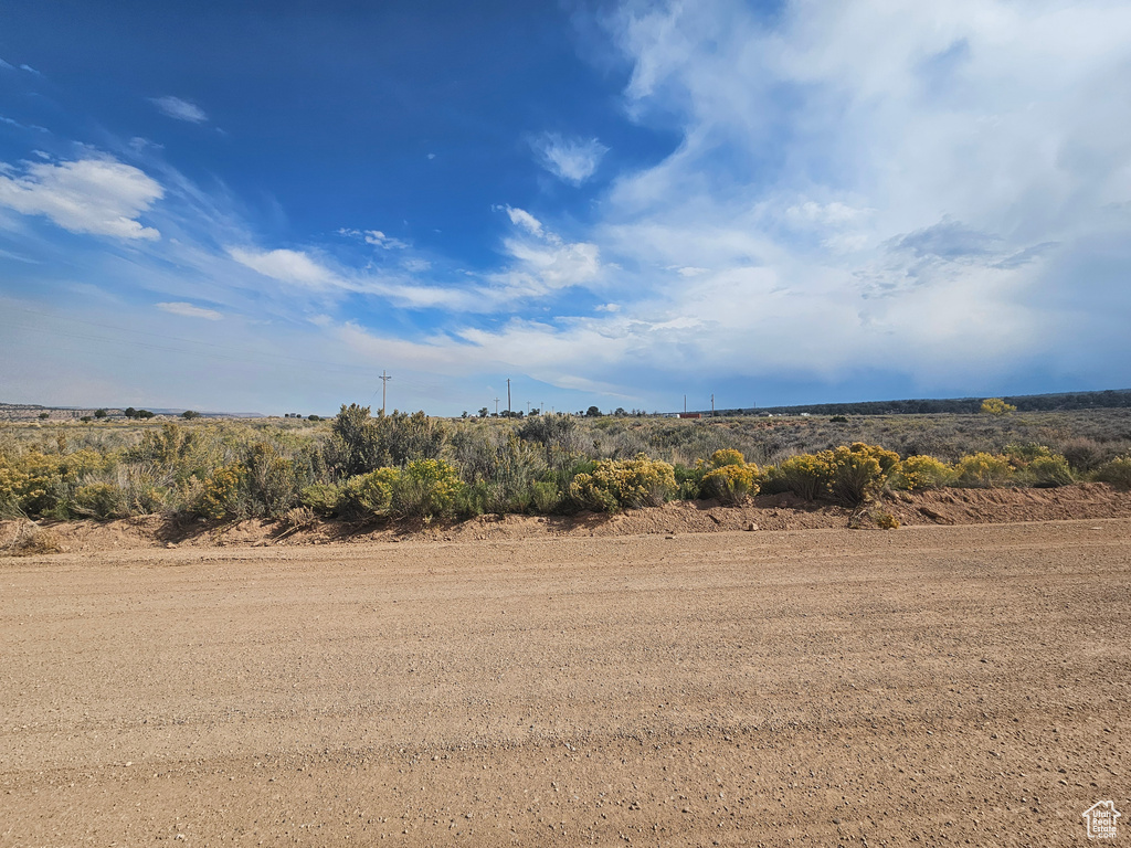 View of local wilderness