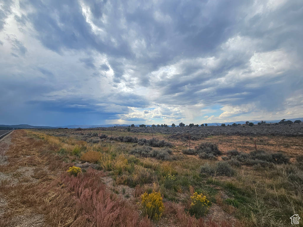 View of local wilderness with a rural view