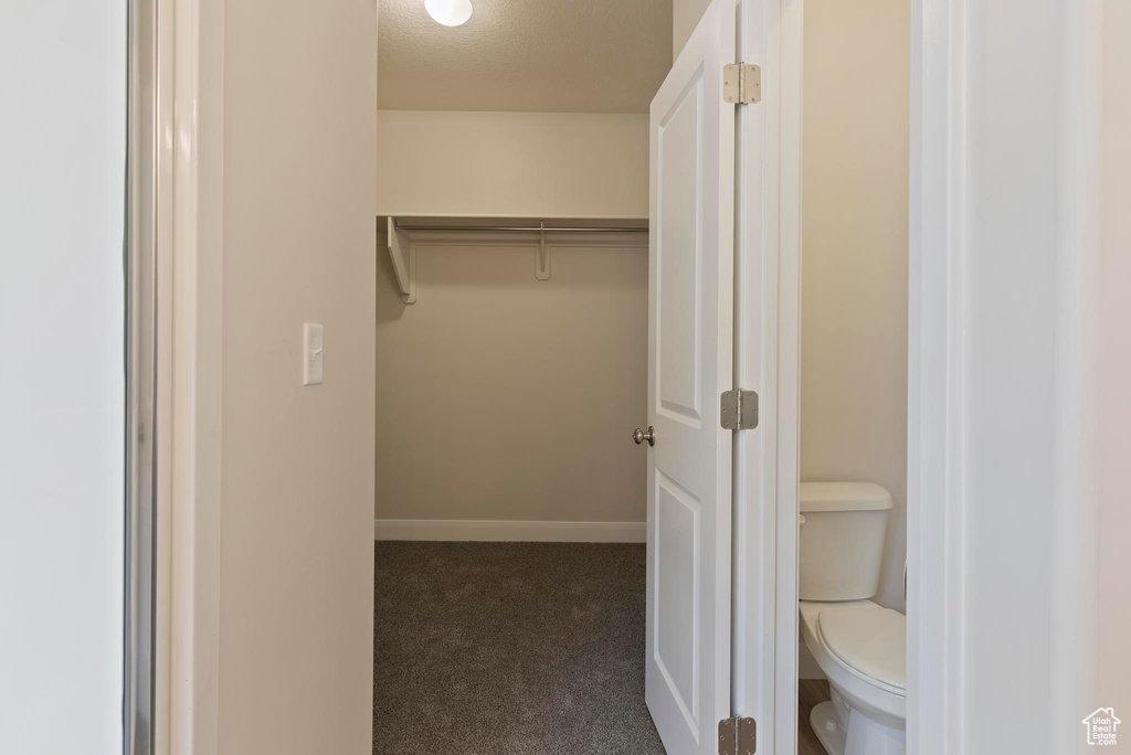 Walk in closet with dark colored carpet