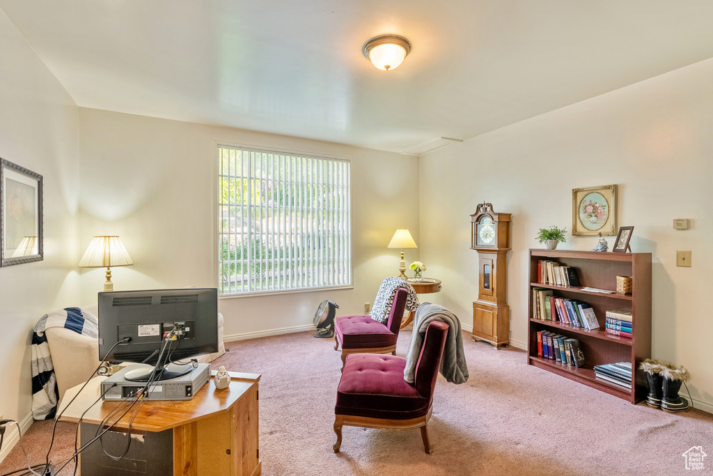 Living area featuring carpet