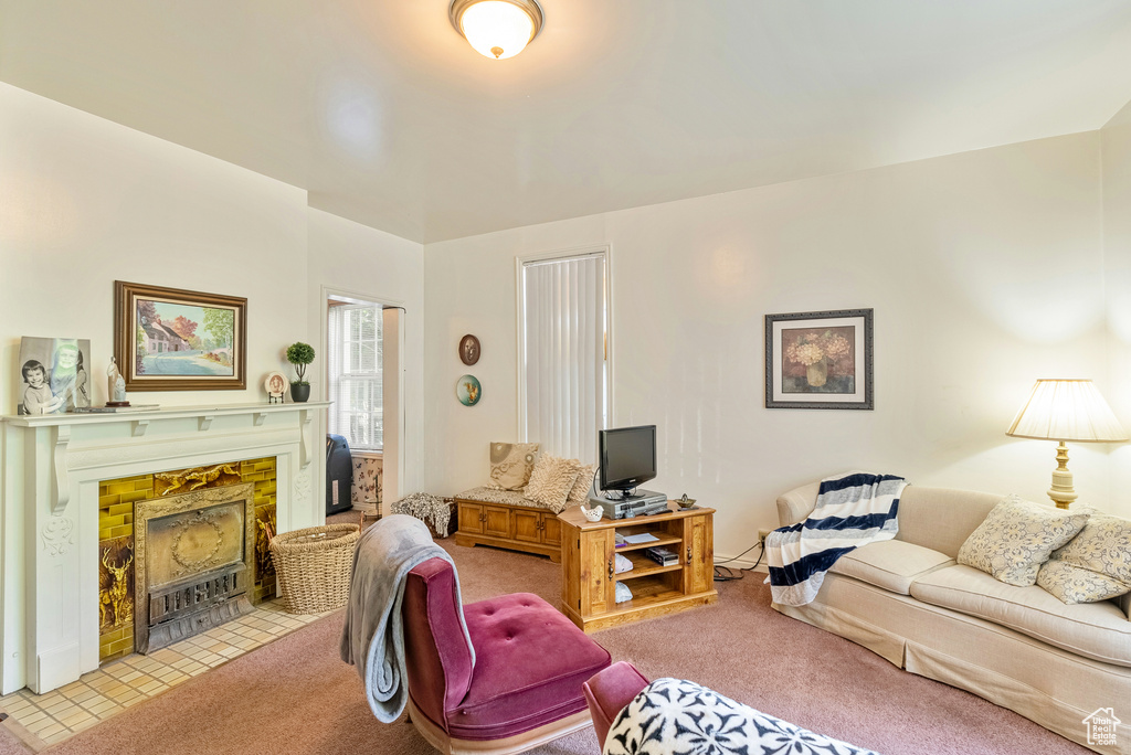 Living room featuring light colored carpet