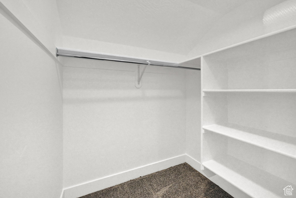 Walk in closet with carpet