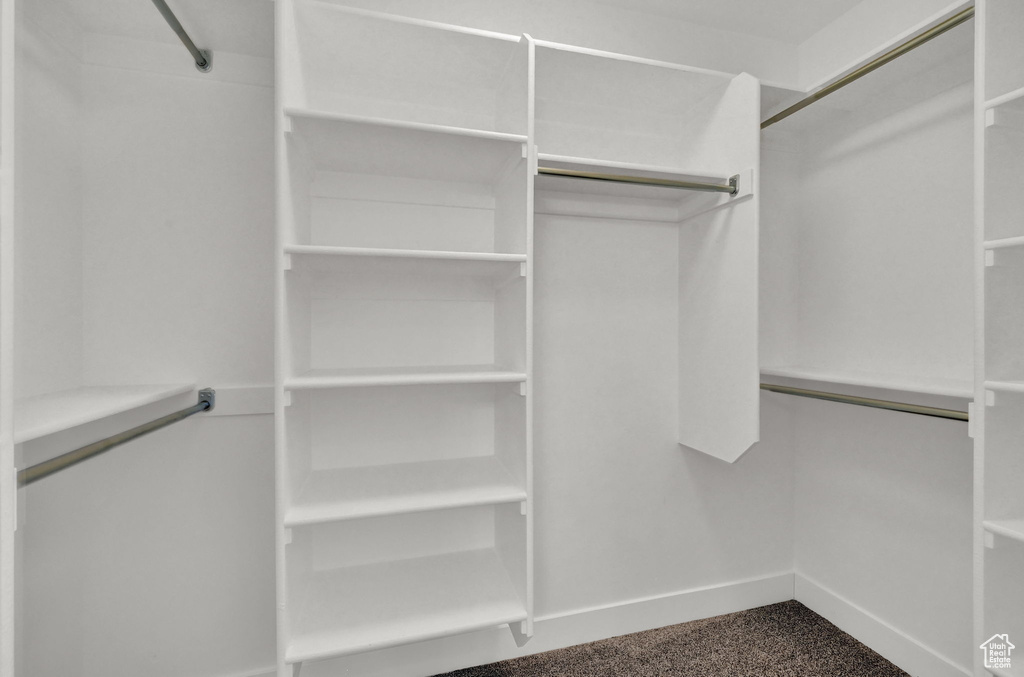 Walk in closet featuring carpet floors