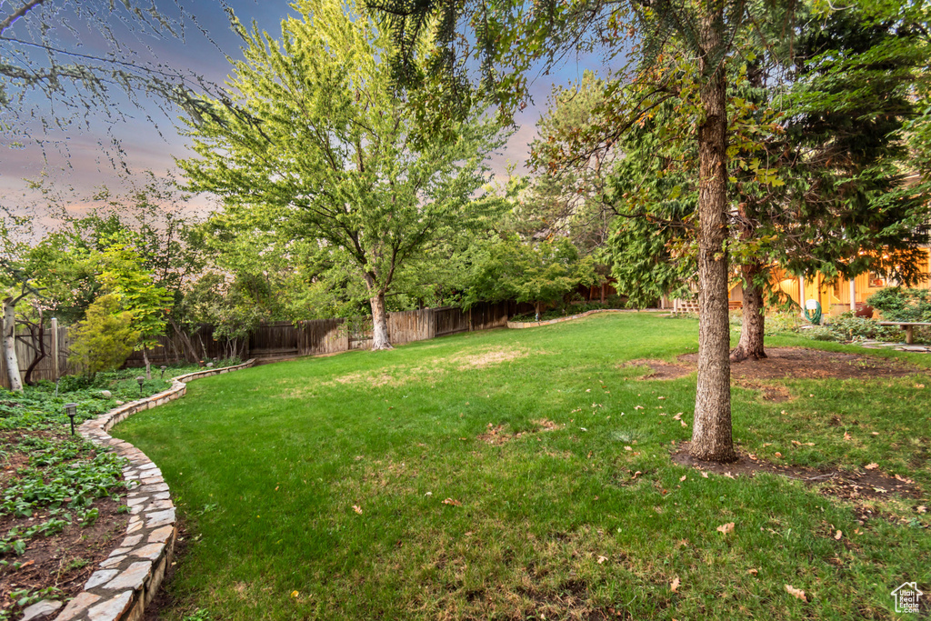 View of yard at dusk