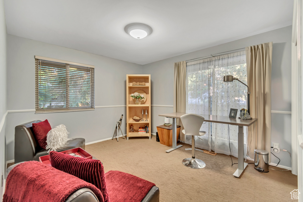 Living area with plenty of natural light and carpet flooring