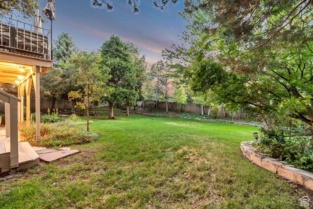 View of yard at dusk