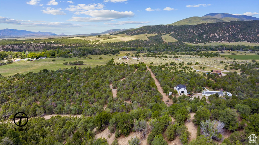 3215 E 3850 N Beaver, UT 84713