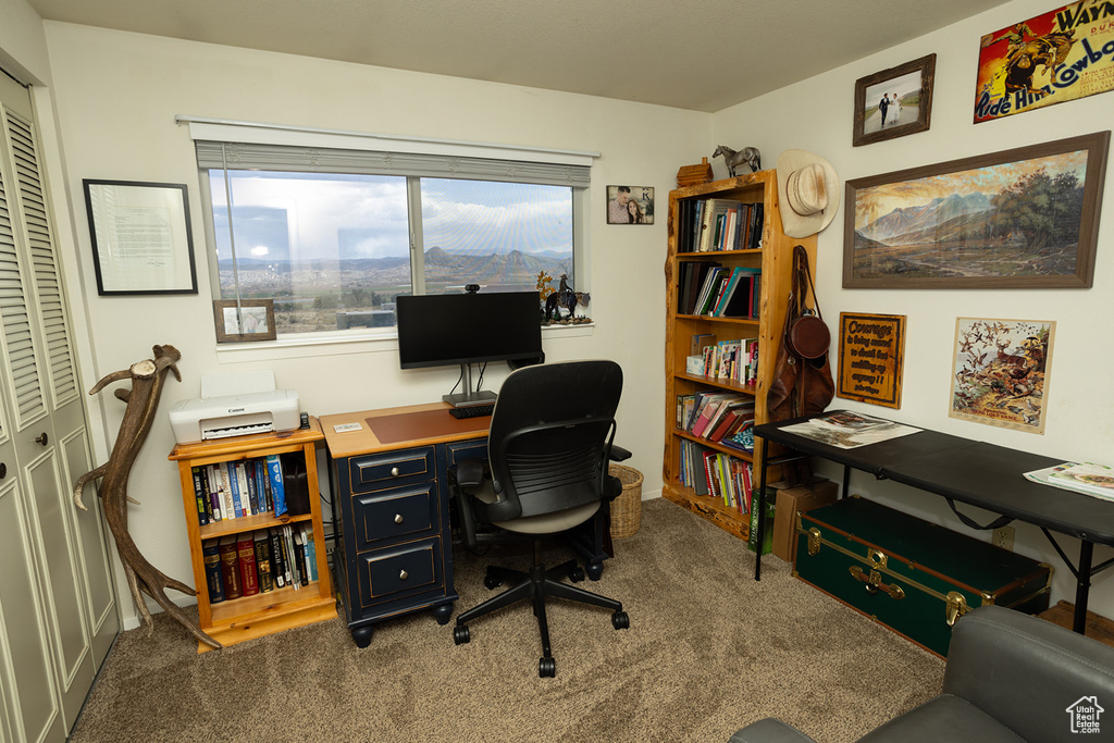 Office space featuring carpet flooring