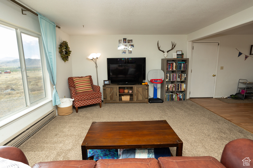 Living room featuring a baseboard radiator and wood-type flooring