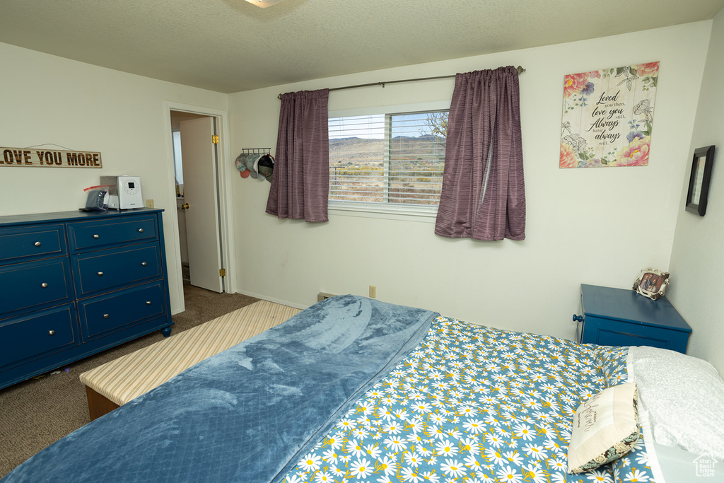 Carpeted bedroom with a textured ceiling