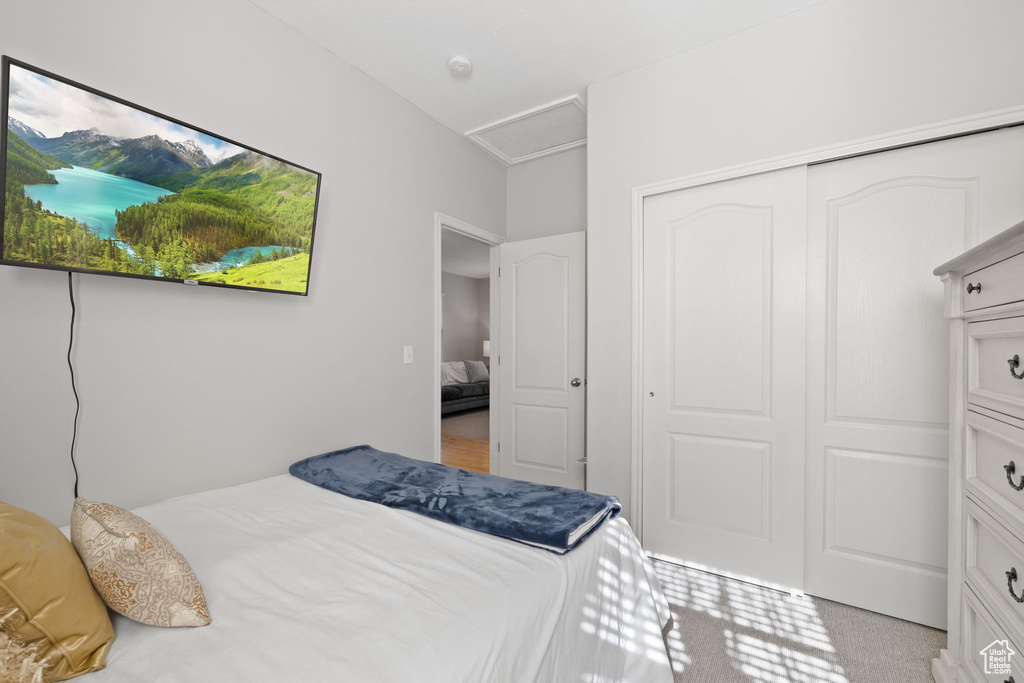 Bedroom featuring a closet and light colored carpet