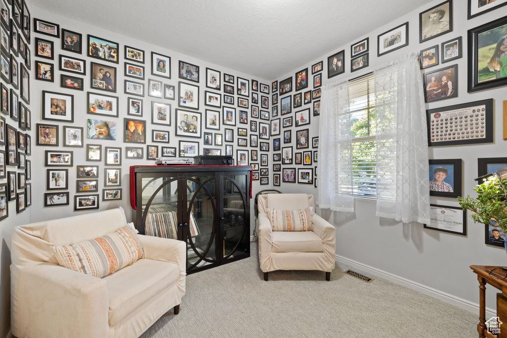 Sitting room with carpet and a textured ceiling