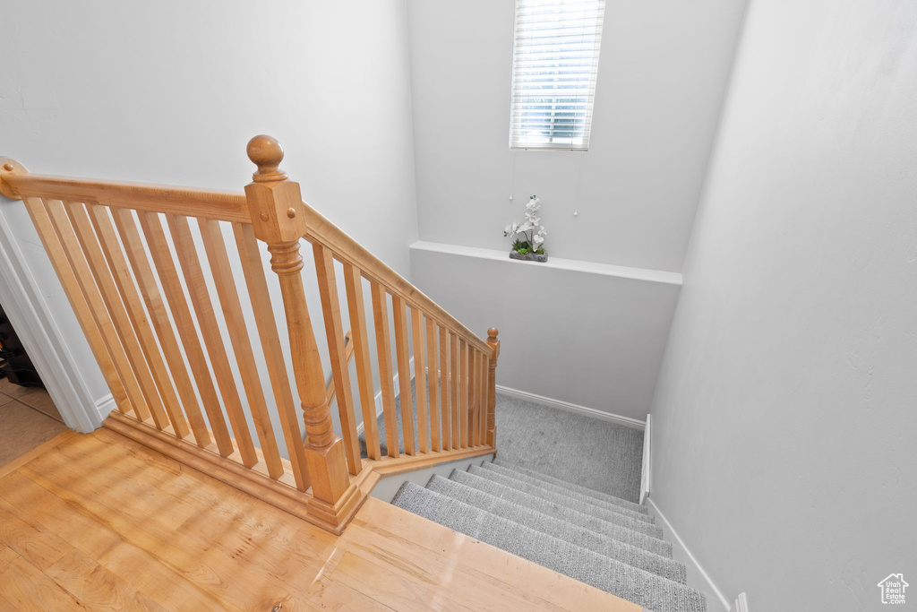 Staircase with carpet flooring