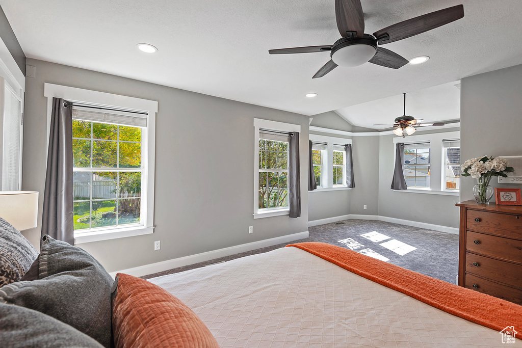 Carpeted bedroom with ceiling fan, vaulted ceiling, and multiple windows