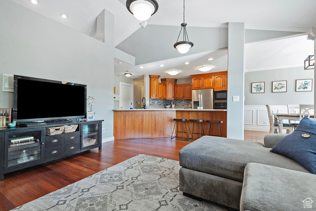 Living room featuring high vaulted ceiling, dark hardwood / wood-style flooring, and sink